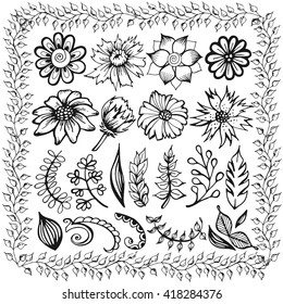 Doodle set of flowers and leaves. Vector sketch illustration. Hand drawn vintage floral elements, spring  background.