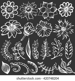 Doodle set of flowers and leaves. Vector sketch illustration. Hand drawn floral elements, spring background.