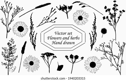 Doodle set with flowers and plant branches. Black and white vector illustration. Hand-drawn. 