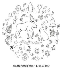 Doodle set Forest and its inhabitants. Moose, hare, snail, ladybug, beetle, plants and mushrooms.