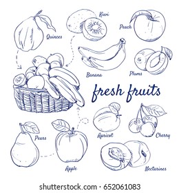 Doodle set of fresh fruits - Kiwi, Quinces, Peach, Banana, Plums, Pears, Apple, Apricot, Cherry, Nectarines, basket, hand-drawn. Vector sketch illustration isolated over white background. 