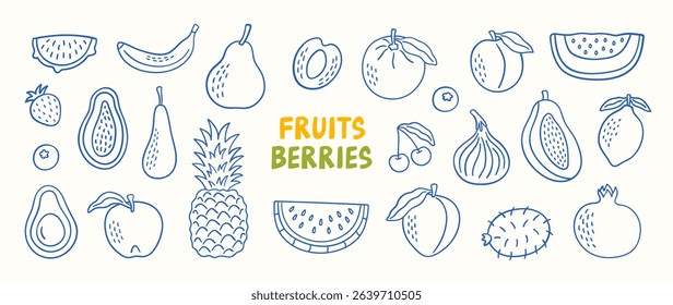Doodle set of fruits and berries. Vector illustration.