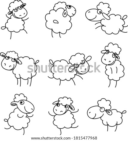 Doodle set of funny sheeps in different poses. Black line vector icons isolated on white background 