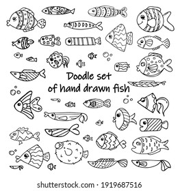 Doodle set of hand drawn fish. Image for labels, web, icons, postcards, decoration. Cheerful, childish, cute vector marine theme.