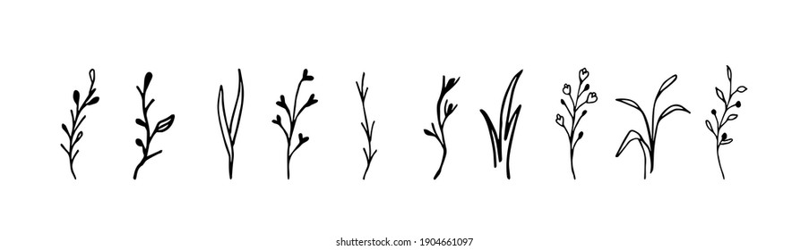 Doodle set of herbs on a white background isolated. Can be used for the design of stickers, packaging, logos, clothing, tags, cosmetic products