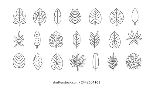 Doodle set illustration of tropical leaves. Plant icons. Editable stroke