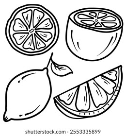 Doodle set lemon slices. Hand engraved lemons set vector graphics. Lemon  doodle sketch style collection. Set of lemon slices hand drawn black and white line art illustration.