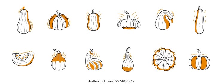 doodle set of pumpkins and squash in autumnal colors.