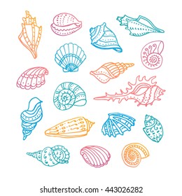 Doodle set of seashells. Isolated on white background. Hand drawn vector illustration.