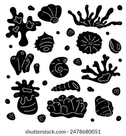 Doodle set with silhouette corals and shells. Black and white clip art illustration.