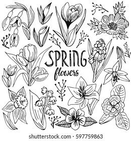 Doodle set of spring flowers. Hand drawn vector illustration with floral elements. Nature sketch background for prints, T-shirt.