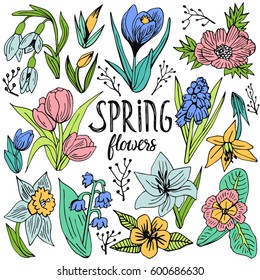 Doodle set of spring flowers. Hand drawn vector illustration with floral elements. Nature sketch background for prints, T-shirt.