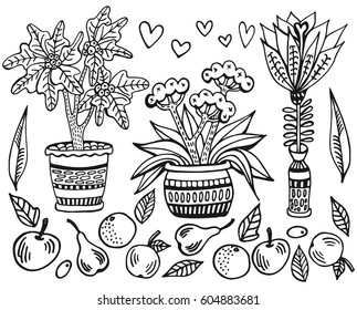 Doodle set of spring flowers, plants and fruits. Hand drawn vector illustration with floral elements. Nature sketch background for prints, T-shirt.