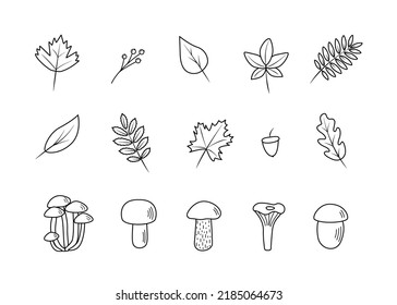 Doodle set of tree leaves and mushrooms, autumn concept, vector illustration