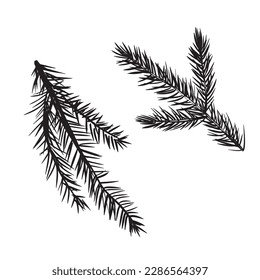 Doodle set of twig branch element. Christmas tree, pine, fir, needles. Black, white. Vector illustration. Outline hand drawn sketch on white background. Design element for natural and organic designs.