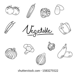 Doodle set of Vegetable Hand drawn vegetable vector illustration with cute