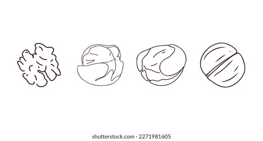 Doodle set of walnuts. Vector illustration