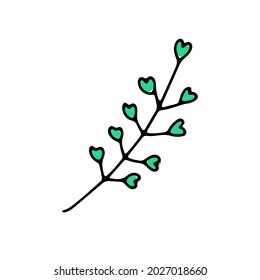 Doodle shepherds purse. Hand-drawn plant isolated on white background. Herb with leaves, petals in the shape of a heart. Vector illustration for interior, gardening, holiday, Valentines Day, wedding