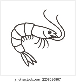Doodle shrimp, spiny lobster, lobster icon Engraving sea animal Vector stock illustration EPS 10 