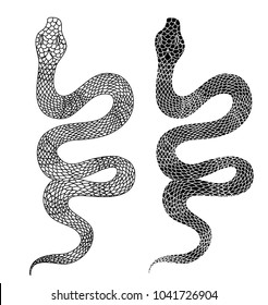 doodle and silhouette lovely snake vector isolate on white background.Lampropeltis triangulum vector.Sticker and hand drawn snake for tattoo.Red snake Reptile on white background.