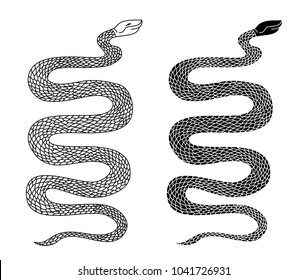 doodle and silhouette lovely snake vector isolate on white background.Lampropeltis triangulum vector.Sticker and hand drawn snake for tattoo.Red snake Reptile on white background.