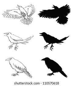 3,845 Crow Doodle Images, Stock Photos & Vectors | Shutterstock