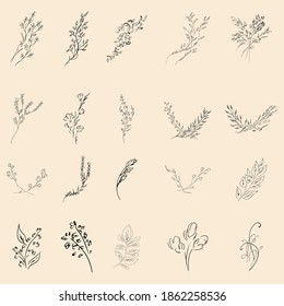 Doodle simple collection of 20 hand-drawn floral elements. Big collection of 20 hand-drawn branches. Big floral botanical set. Isolated