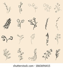 Doodle simple collection of 20 hand-drawn floral elements. Big collection of 20 hand-drawn branches. Big floral botanical set. Isolated