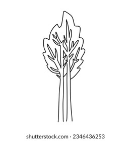 Doodle simple tree, Line art coloring page design element for teaching materials