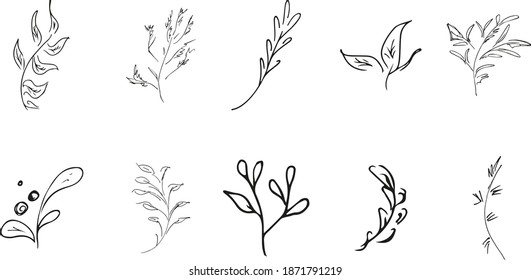 Colección simple vectorial de 10 elementos florales dibujados a mano. Gran colección de 10 ramas dibujadas a mano. Gran conjunto floral botánico. Aislado sobre fondo blanco.