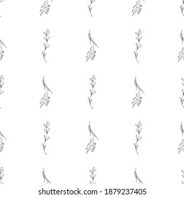 Doodle simple vector seamless pattern of hand-drawn leaves. Seamless pattern of hand-drawn branches. Big floral botanical set. Isolated on white background.