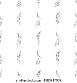 Doodle simple vector seamless pattern of hand-drawn leaves. Seamless pattern of hand-drawn branches. Big floral botanical set. Isolated on white background.