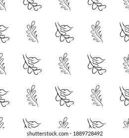 Doodle simple vector seamless pattern of hand-drawn leaves. Seamless pattern of hand-drawn branches. Big floral botanical set. Isolated on white background.