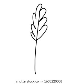 Doodle single leaf element for decoration patterns, wrapping paper, wallpaper, cards, invitations, packing boxes. Vector stock illustration.