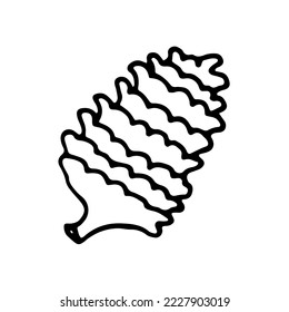 Doodle single pine cones element. Vector illustration. Outline hand drawn sketch on white background. Design element for natural and organic designs.