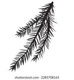 Elemento de bifurcación de un solo garrapato. Árbol de Navidad, pino, abeto, agujas. Negro, blanco. Ilustración vectorial. Esbozo dibujado a mano de contorno sobre fondo blanco. Elemento de diseño para diseños naturales y orgánicos.