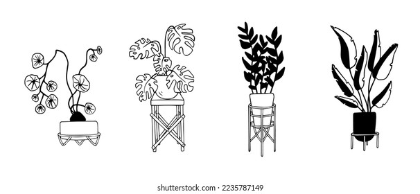 Doodle sket of houseplants.Vector graphics.