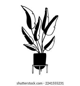 Dibujo Doodle de plantas domésticas.Gráficos vectoriales.	