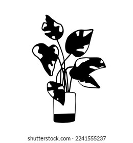 Doodle sket of houseplants.Vector graphics.	