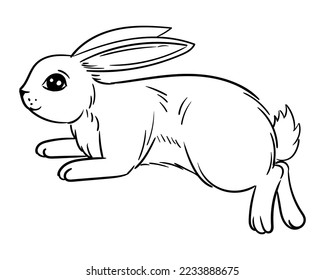 Doodle sketch Bunny jumping. Cute rabbit jumping vector illustration isolated on white background