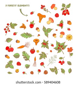 Doodle sketch collection with forest leaves, strawberries, mushrooms and walnuts
