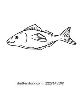 Doodle-Skizze eines dekorativen Fisches.Vektorgrafik.
