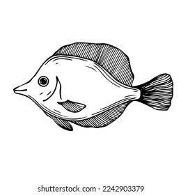 Doodle sketch of a decorative fish.Vector graphics.