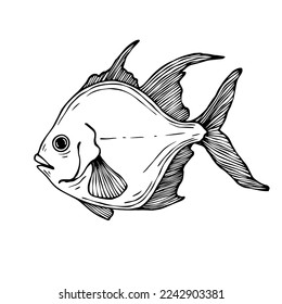 Doodle sketch of a decorative fish.Vector graphics.
