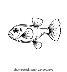 Doodle sketch of a decorative fish.Vector graphics.