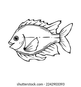 Esbozo de dibujos de un pez decorativo.Gráficos vectoriales.