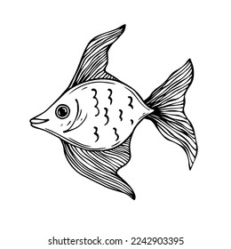 Doodle sketch of a decorative fish.Vector graphics.