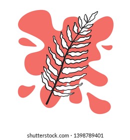Doodle sketch of fern, isolate 