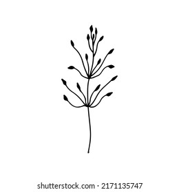 Doodle sketch flower with buds hand drawn. Black silhouette of a branch with flower buds. Icon, postcard, logo