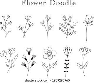 Doodle Sketch Hand Draw Nature Colleciton of Element Flowers and Leaves Vector